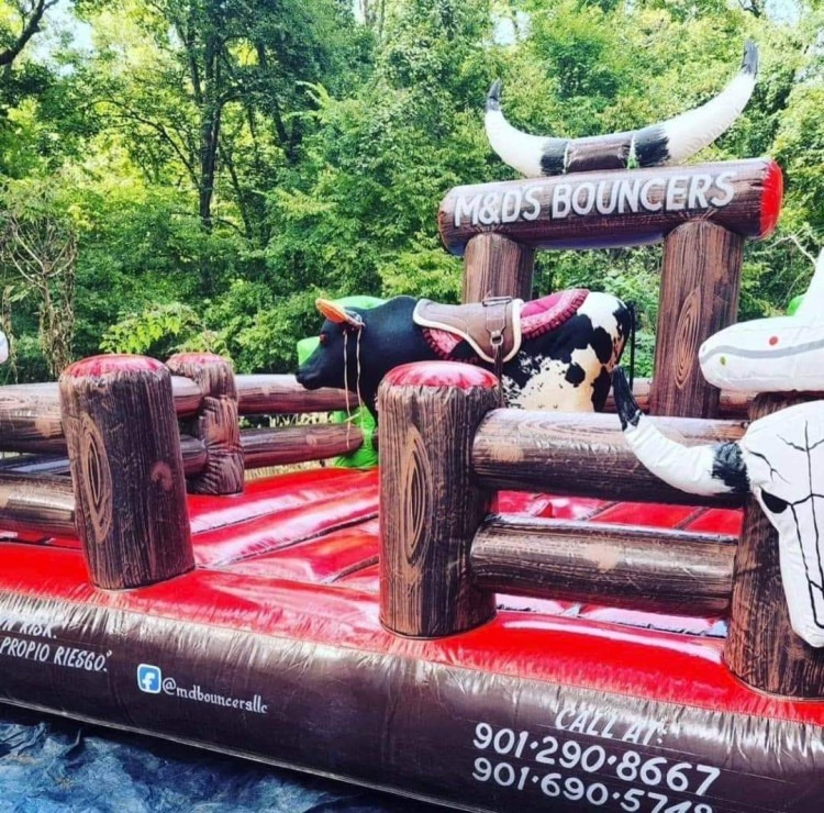 Mechanical Bulls