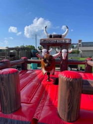 Messenger creation 929aa2d7 f617 41dc b2b7 d337ce046d06 172280763 Mechanical Bull